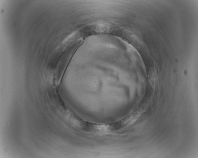X0000060570233200511241324