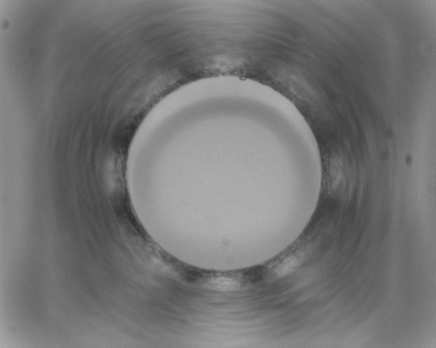 X0000060570236200511241324