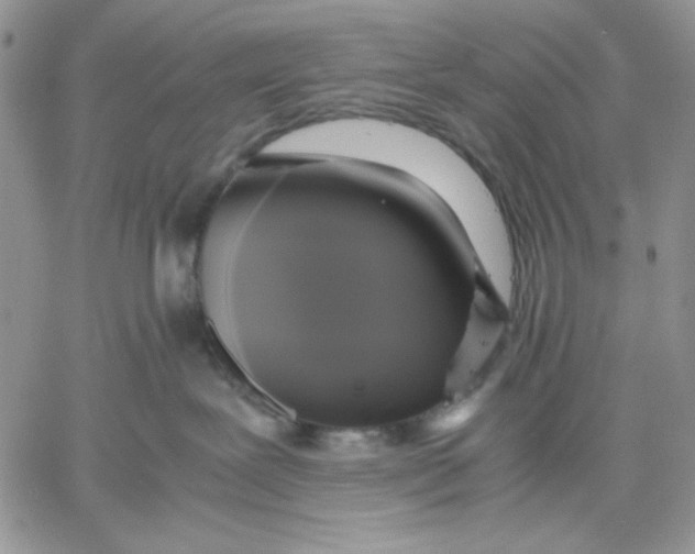 X0000060570239200511241324