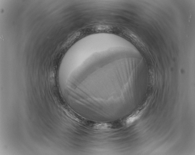 X0000060570269200511241323