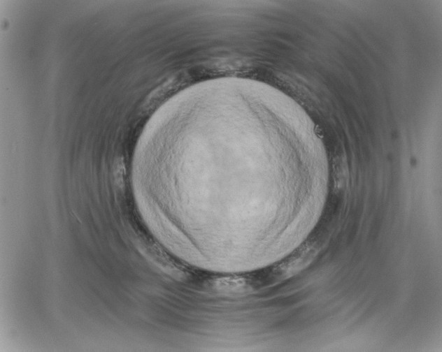 X0000060570279200511241324