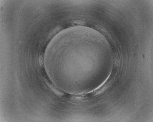 X0000060570285200511241324