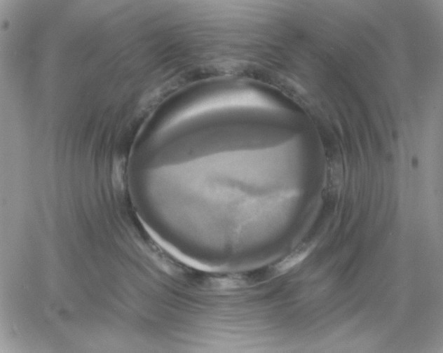 X0000060570286200511241324