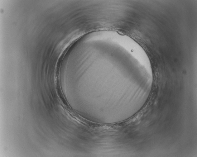 X0000060570290200511241323