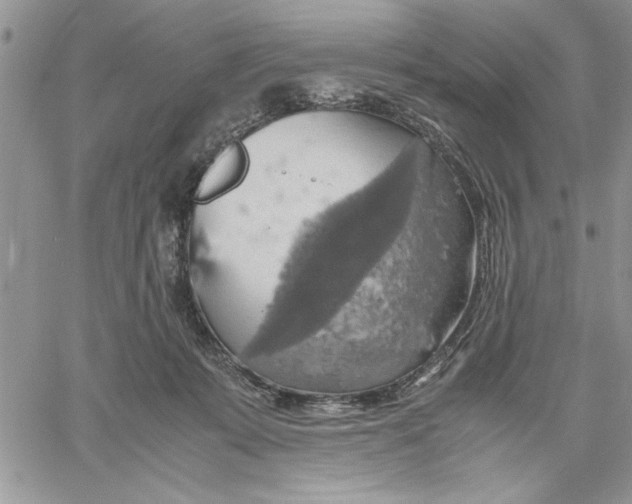 X0000060570319200511241322