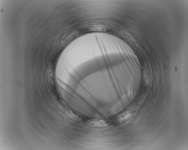 X0000060570322200511241322