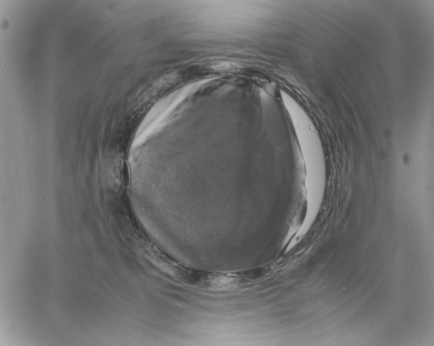 X0000060570325200511241322