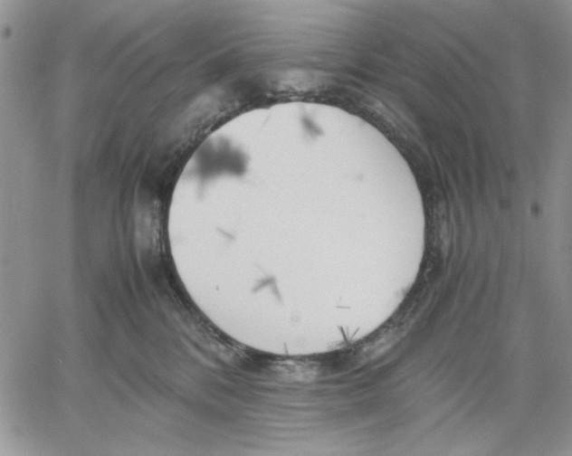 X0000060570328200511241322