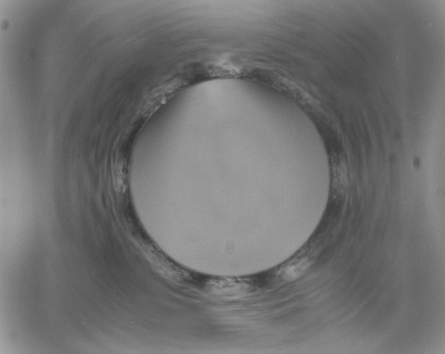 X0000060570331200511241322