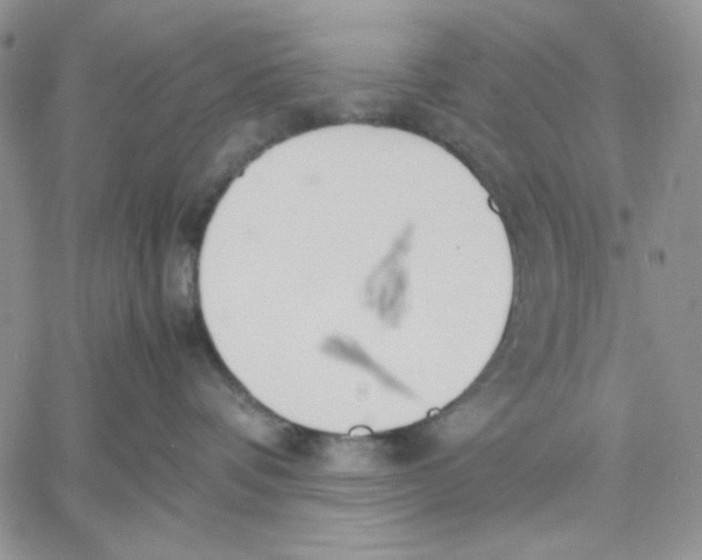 X0000060570336200511241322