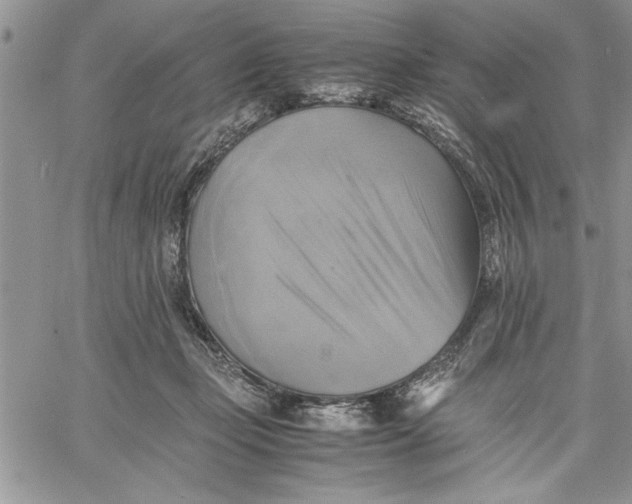 X0000060570365200511241322