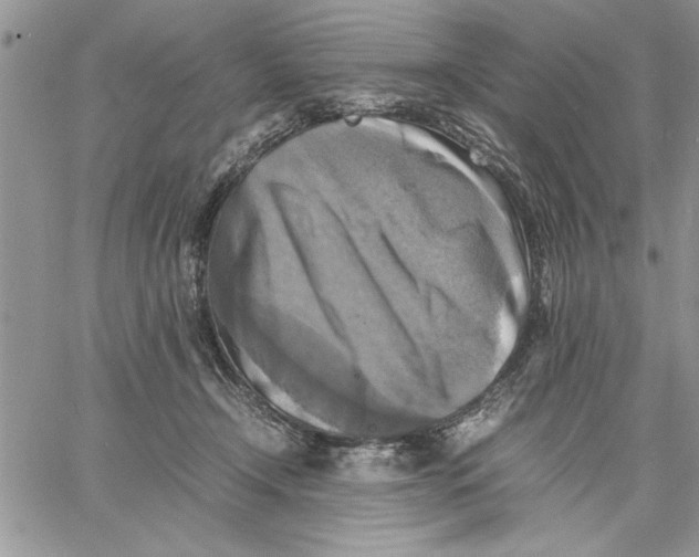 X0000060570366200511241322
