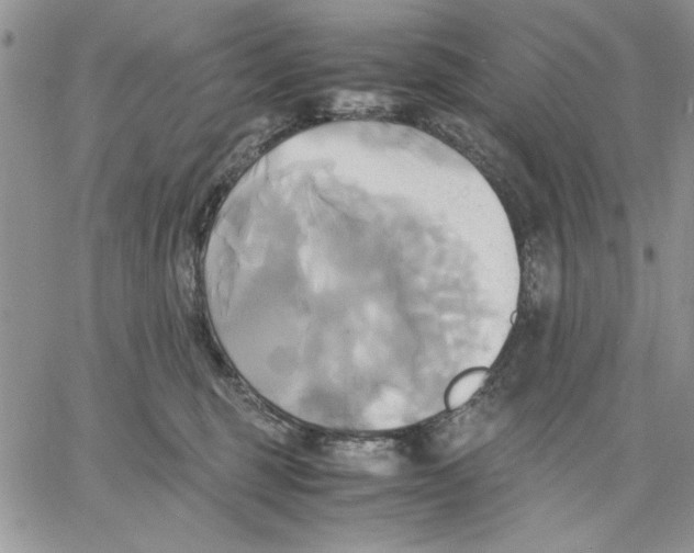 X0000060570375200511241322
