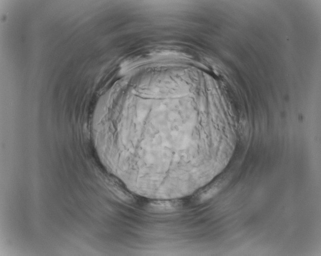 X0000060570381200511241322