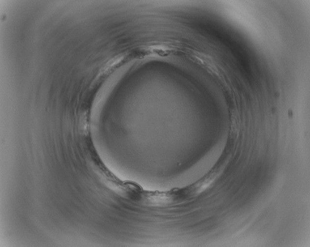 X0000060570383200511241322