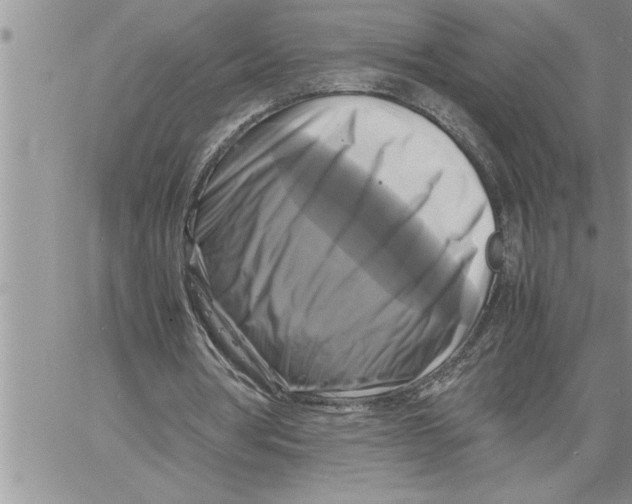 X0000060570386200511241321
