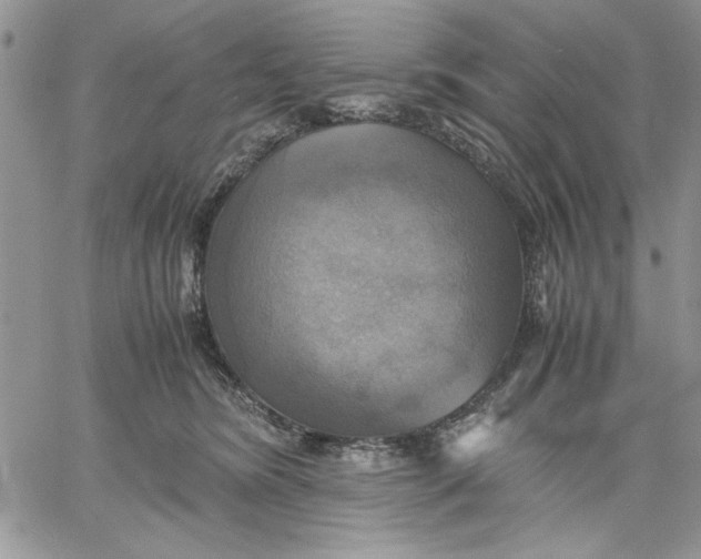 X0000060570420200511241321