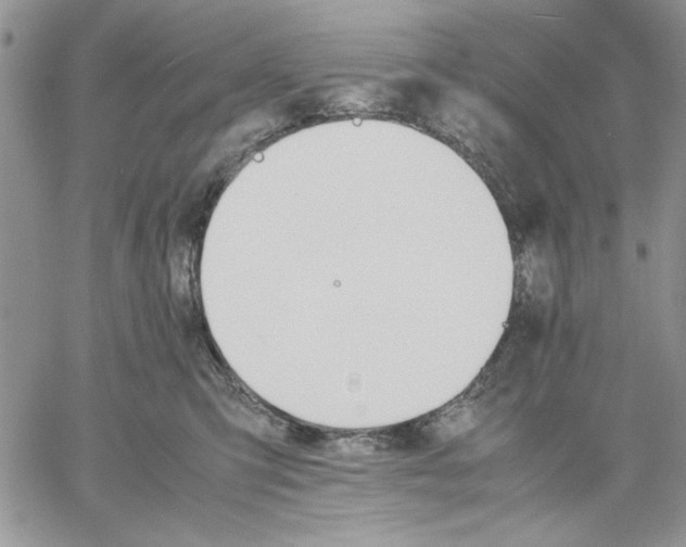 X0000060570423200511241321