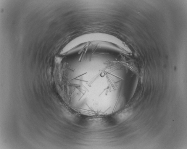 X0000060570428200511241321