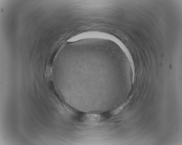 X0000060570429200511241321