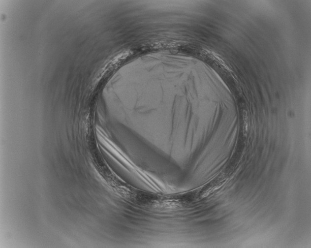 X0000060570451200511241320