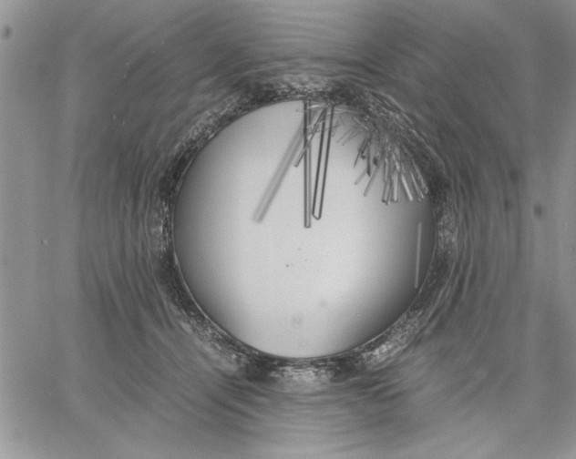 X0000060570464200511241320