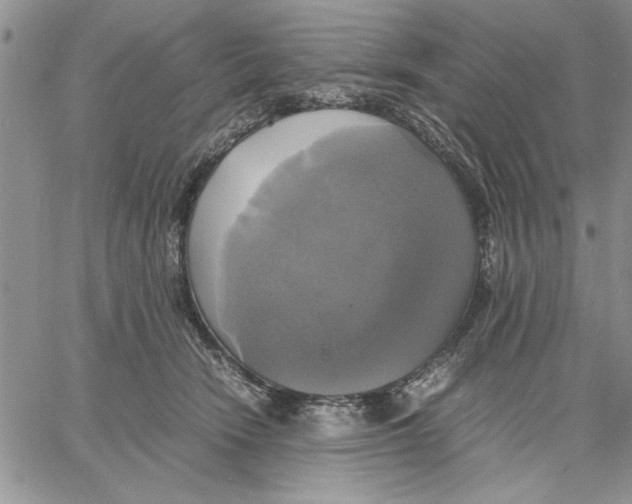 X0000060570466200511241320