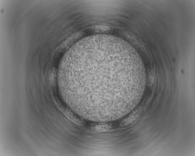X0000060570468200511241320