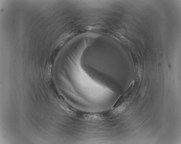 X0000060570475200511241321