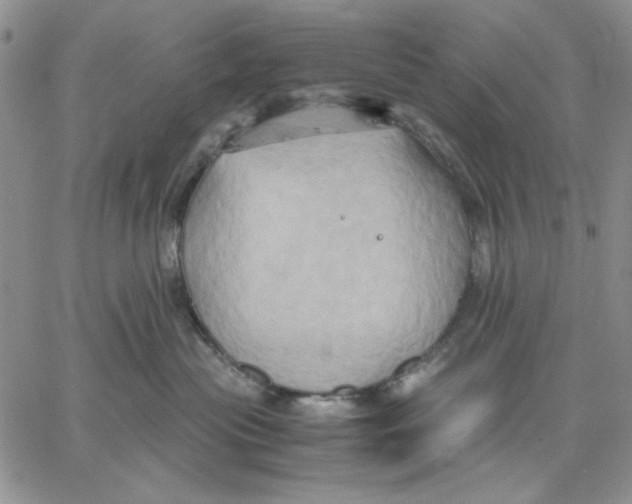 X0000060570477200511241321