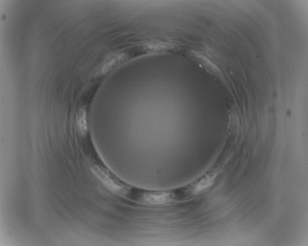 X0000060570479200511241321