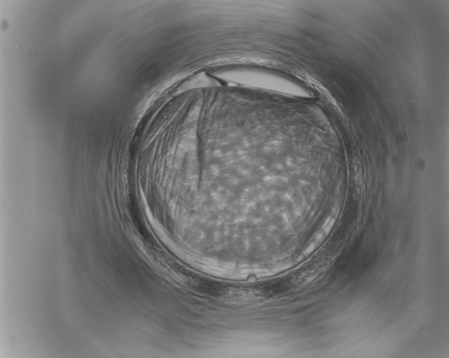 X0000060570487200511241320