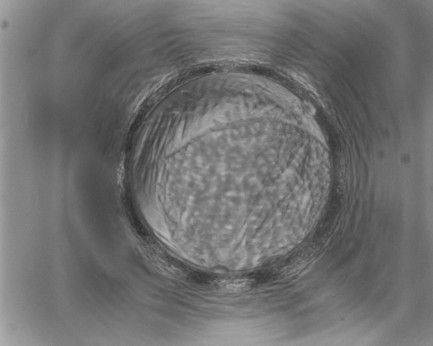 X0000060570495200511241320