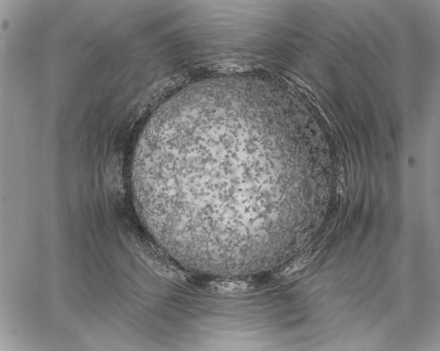 X0000060570512200511241319