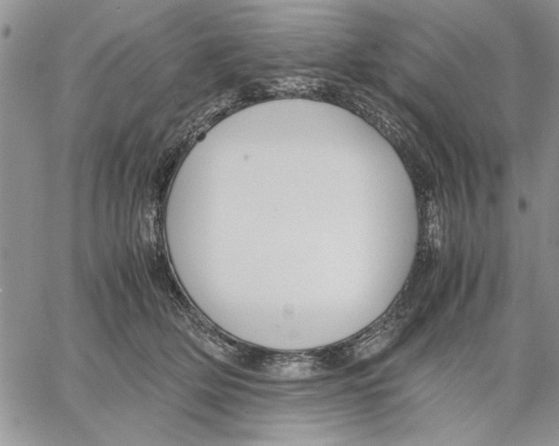 X0000060570514200511241319