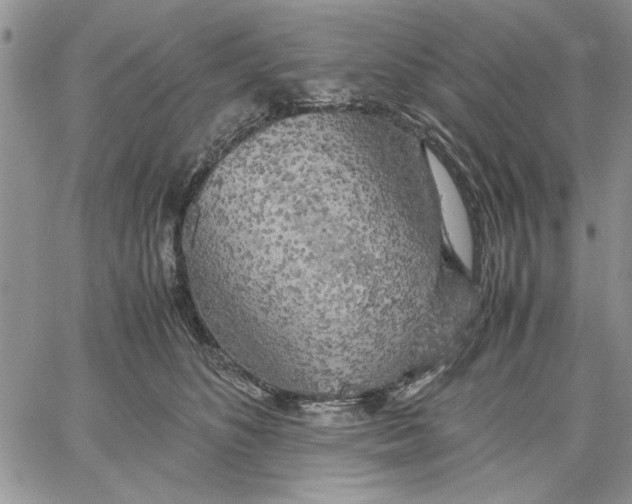 X0000060570516200511241319