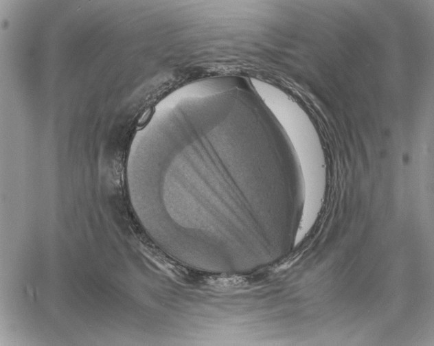 X0000060570517200511241319