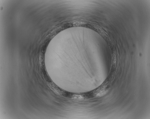 X0000060570519200511241319