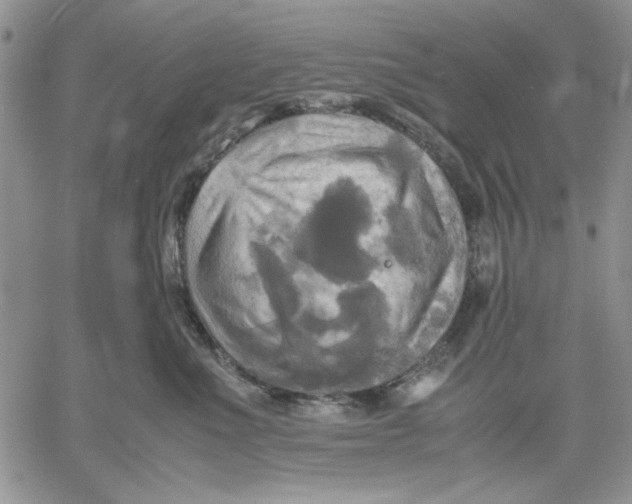 X0000060570523200511241319