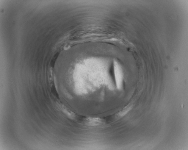 X0000060570528200511241319