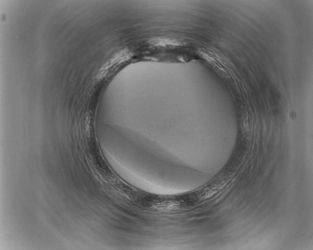 X0000060570551200511241319