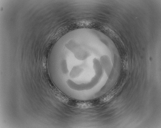 X0000060570561200511241319