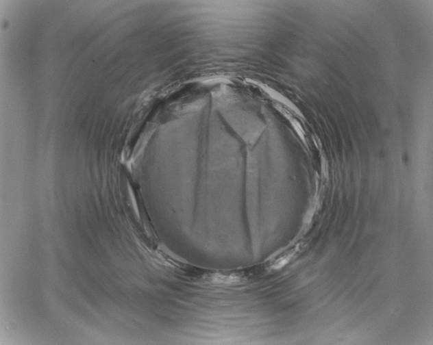 X0000060570570200511241319