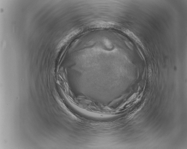 X0000060570581200511241318