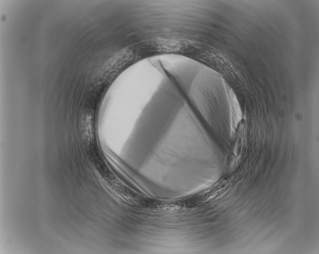 X0000060570598200511241318
