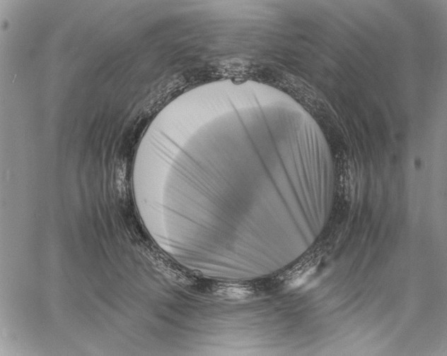 X0000060570610200511241318