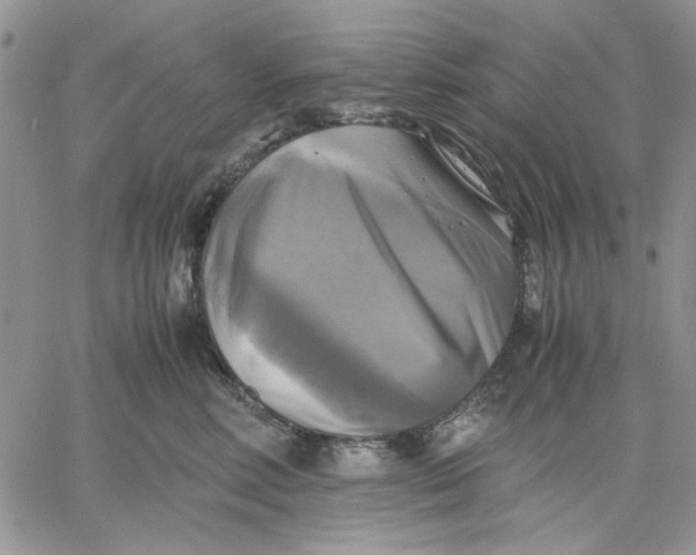 X0000060570618200511241318