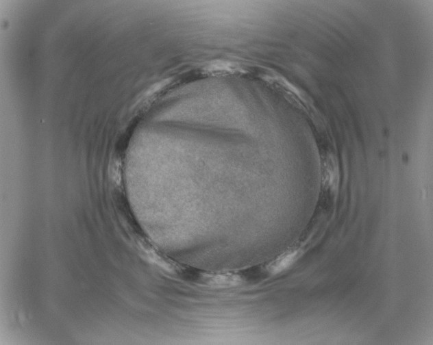 X0000060570621200511241318