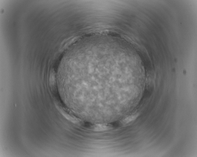 X0000060570623200511241318