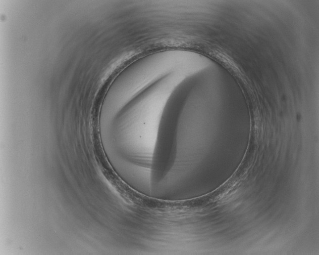 X0000060570626200511241317